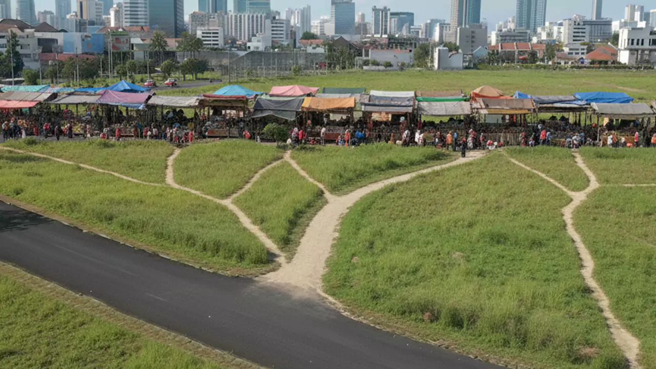 desire path formed by footprints
